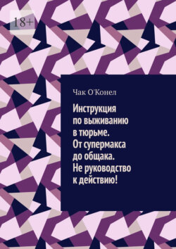 Инструкция по выживанию в тюрьме. От супермакса до общака. Не руководство к действию!