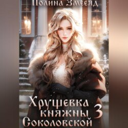 Хрущевка княжны Соколовской 3