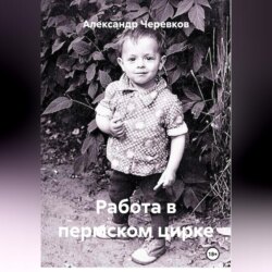 Работа в пермском цирке