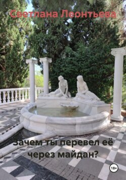 Зачем ты перевел её через майдан?
