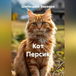 Кот Персик