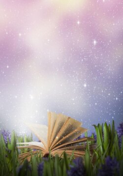 Наставничество – путь к успеху