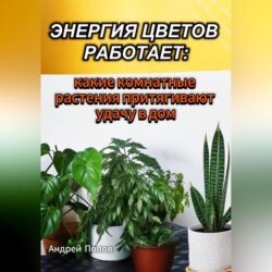 Энергия цветов работает: какие комнатные растения притягивают удачу в дом