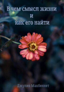 В чем смысл жизни и как его найти