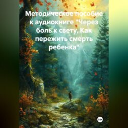 Методическое пособие к аудиокниге «Через боль к свету. Как пережить смерть ребенка»