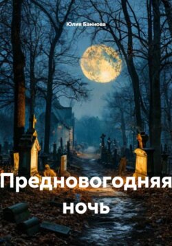 Предновогодняя ночь