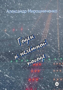 Годен к нелётной погоде