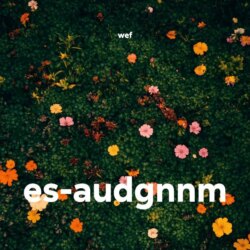 es-audgnnm