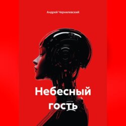 Небесный гость