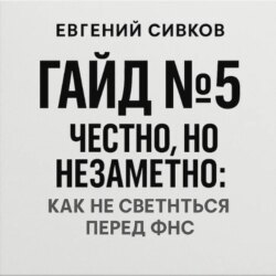 Гайд 5: честно, но незаметно: как не светиться перед ФНС