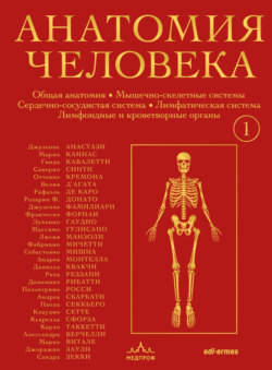 Анатомия человека. Эксклюзивное издание с 50-летней историей. Том 1