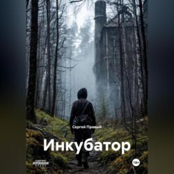 Инкубатор