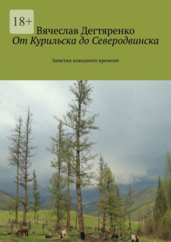 От Курильска до Северодвинска. Заметки ковидного времени