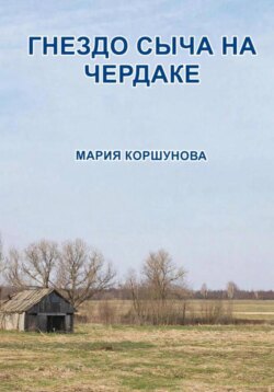 Гнездо сыча на чердаке