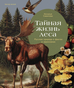 Тайная жизнь леса. Русская природа в фактах и зарисовках