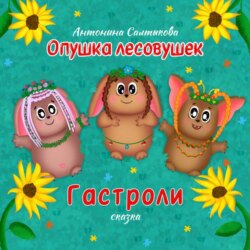 Опушка лесовушек. Гастроли