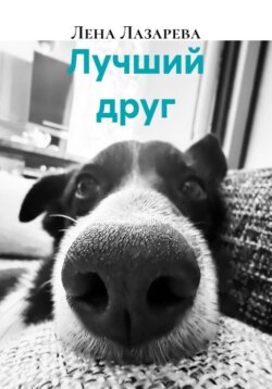 Лучший друг