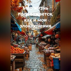 Моя жизнь продолжается, как и мои злоключения