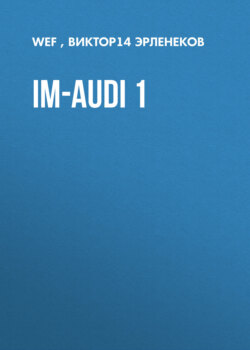 im-audi 1