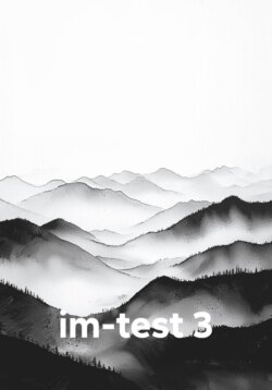 im-test 3