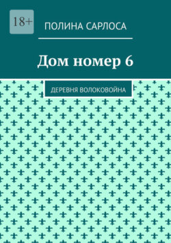 Дом номер 6. Деревня Волоковойна