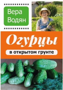 Огурцы в открытом грунте