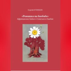 Ромашка на баобабе