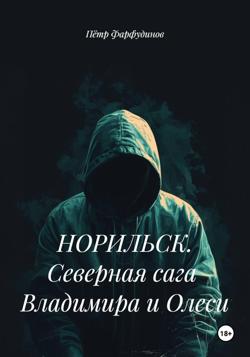 НОРИЛЬСК. Северная сага Владимира и Олеси