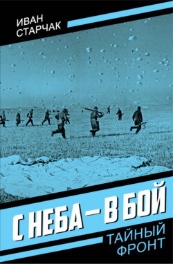 С неба – в бой