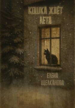 Кошка ждет лета