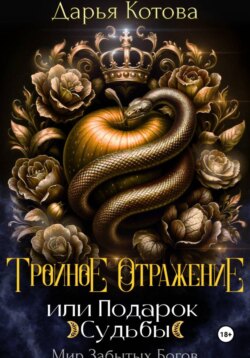 Тройное отражение, или Подарок Судьбы