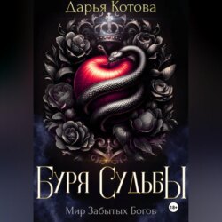 Буря Судьбы