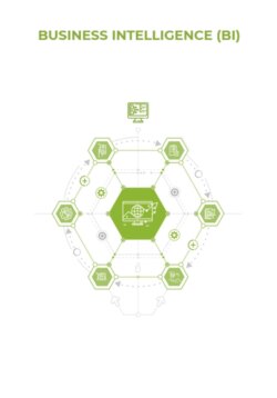 Business Intelligence (BI)