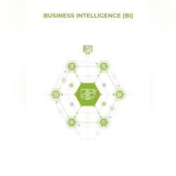 Business Intelligence (BI)