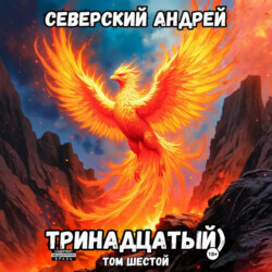 Тринадцатый. Том 6
