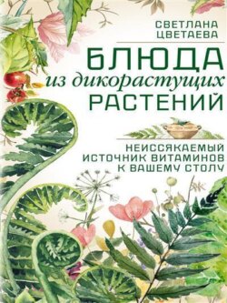 Блюда из дикорастущих растений. Неиссякаемый источник витаминов к вашему столу