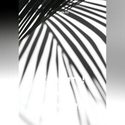 Спасите! Мы погибаем!