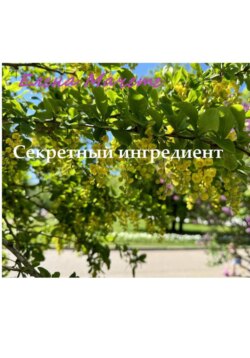 Секретный ингредиент