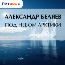 Под небом Арктики