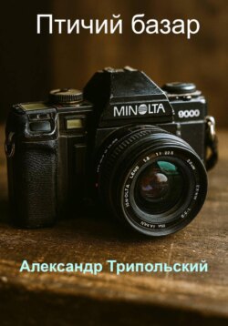 Птичий базар