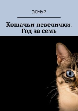 Кошачьи невелички. Год за семь