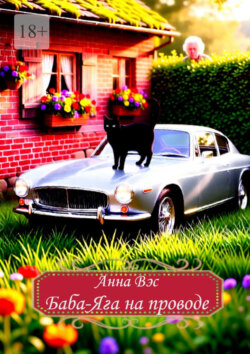 Баба-Яга на проводе