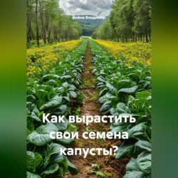 Как вырастить свои семена капусты?