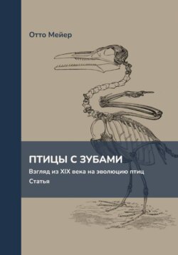 Птицы с зубами. Взгляд из XIX века на эволюцию птиц. Статья