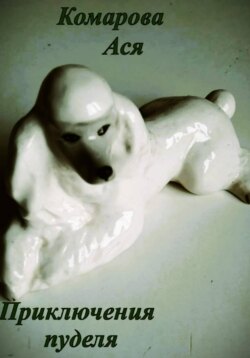 Приключения пуделя