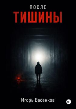 После тишины