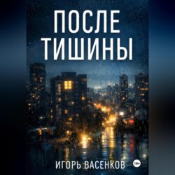 После тишины