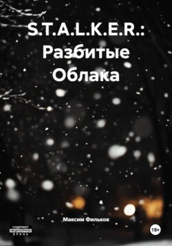 S.T.A.L.K.E.R.: Разбитые Облака