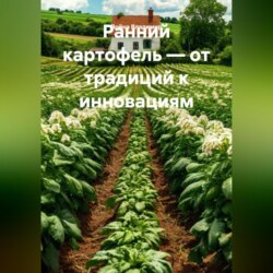 Ранний картофель – от традиций к инновациям.