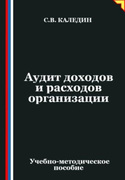 Аудит доходов и расходов организации